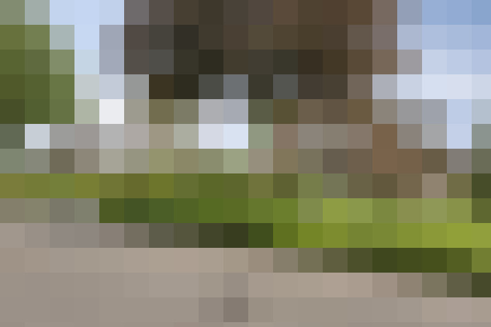 Image 49