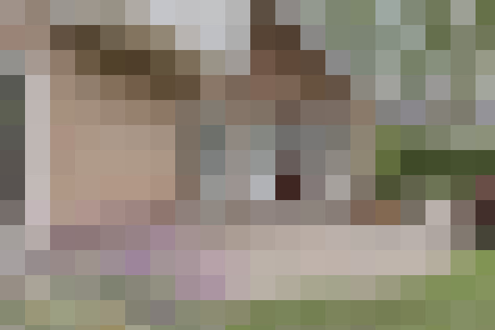 Image 41