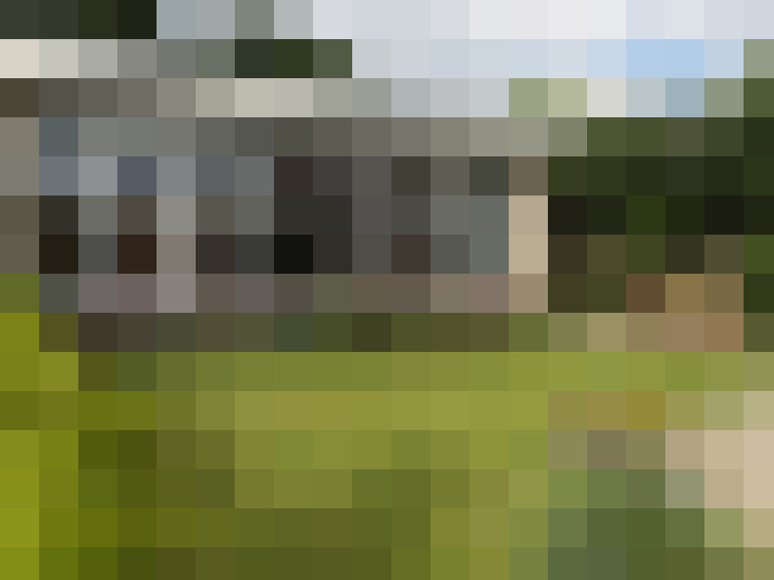Image 20