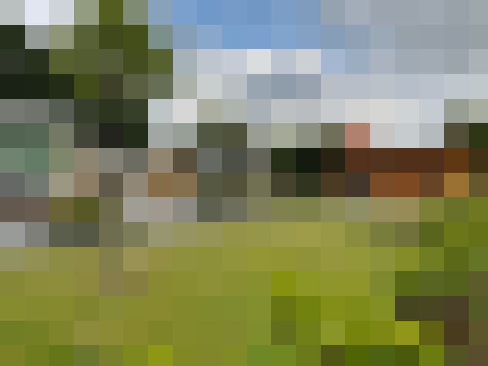 Image 26