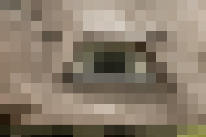 Image 36