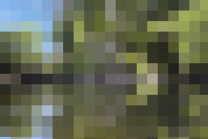 Image 25