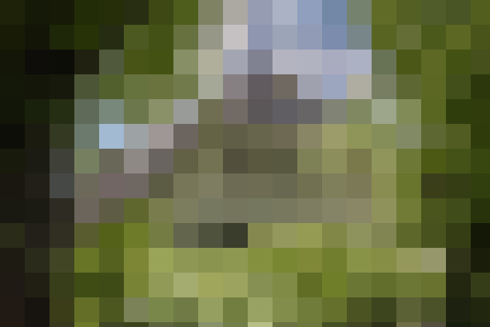 Image 39