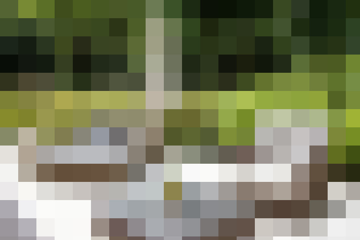 Image 16