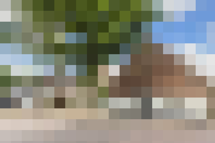 Image 33