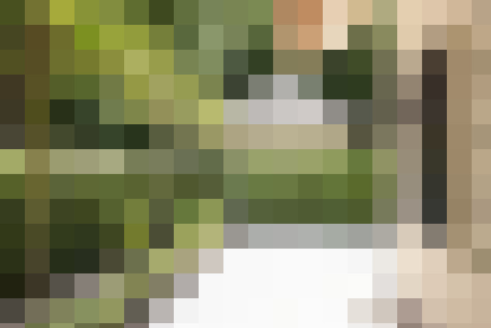 Image 30