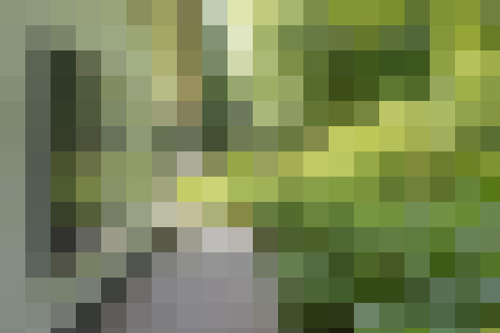 Image 38