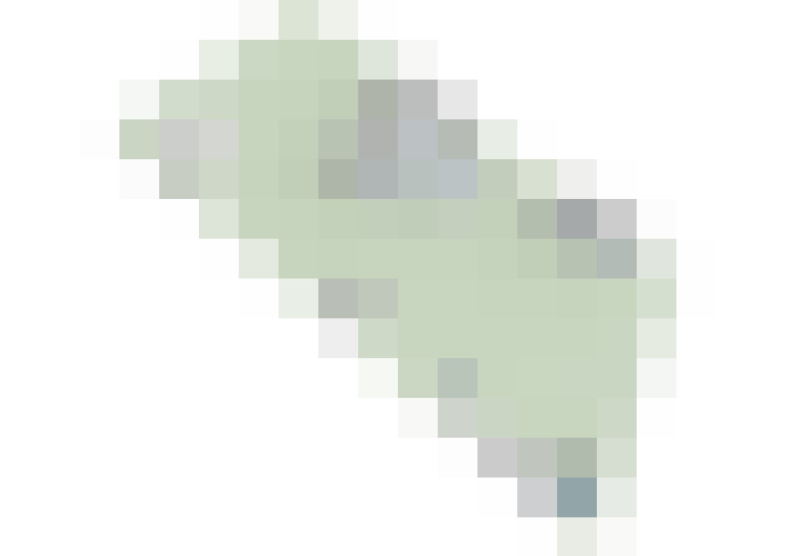 Image 53