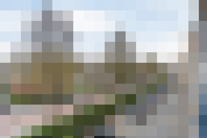 Image 23