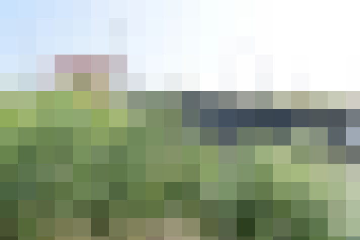 Image 17