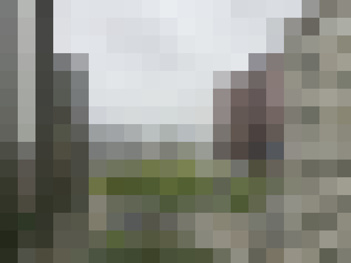 Image 23