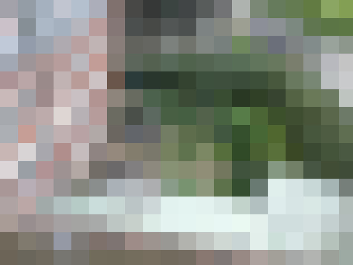 Image 24