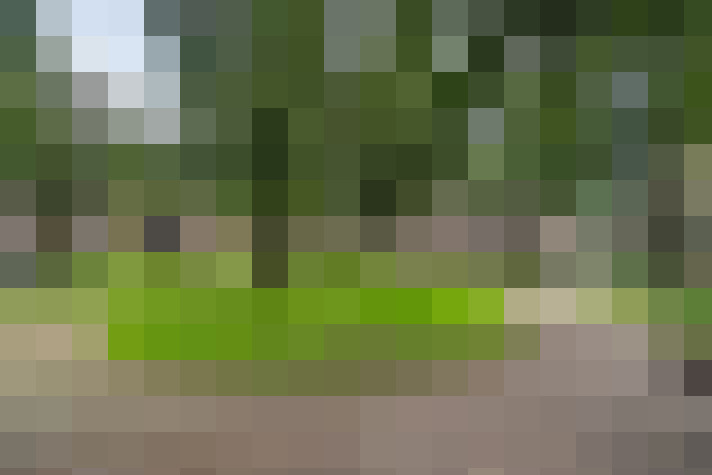 Image 27