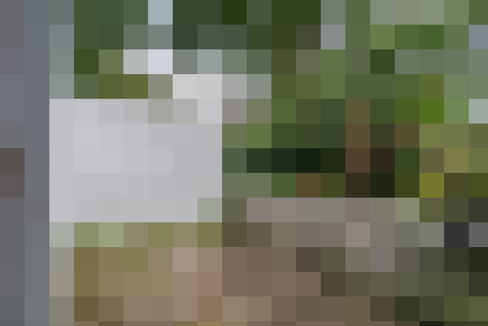 Image 20