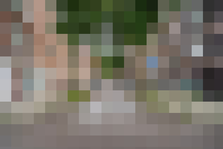 Image 25