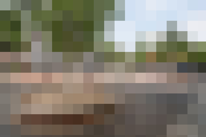 Image 26