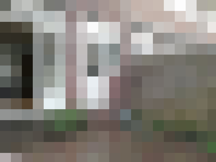 Image 20