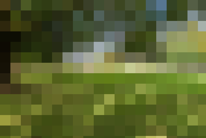 Image 26