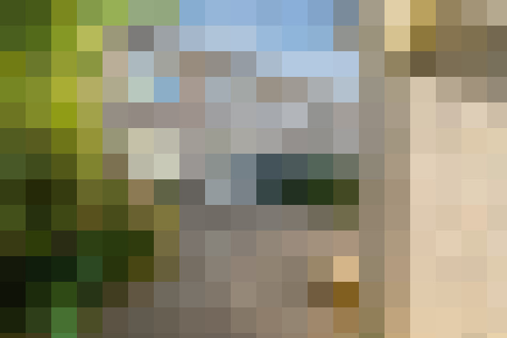 Image 23