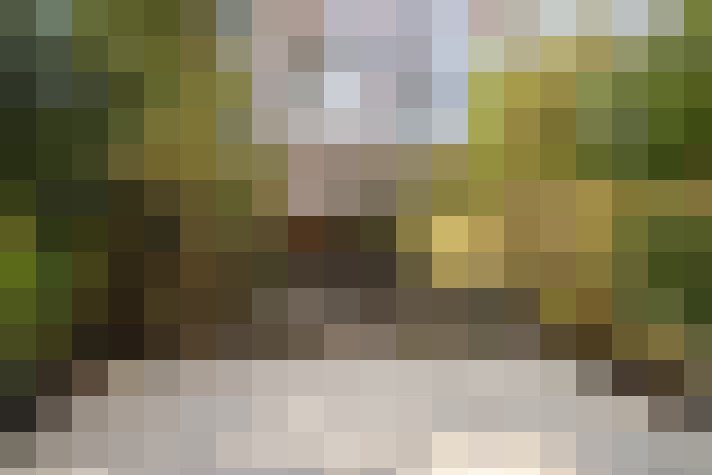 Image 13