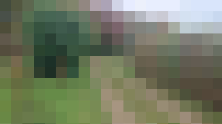 Image 33