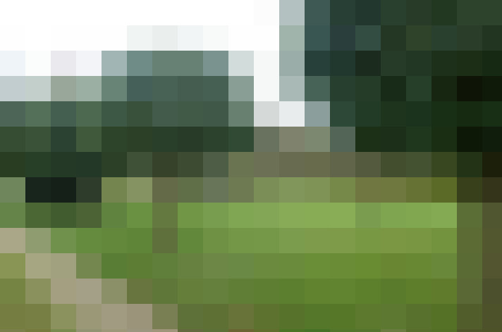 Image 36