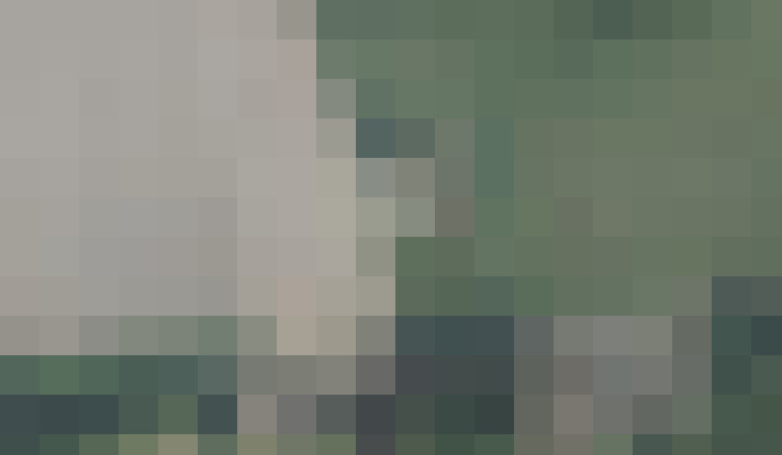 Image 41