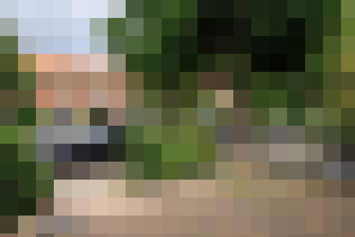 Image 21
