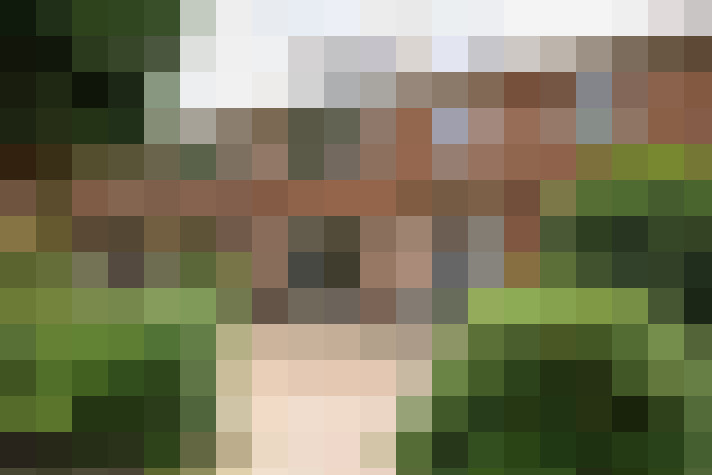 Image 27
