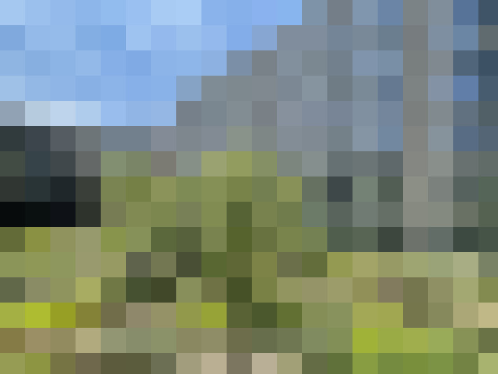 Image 16