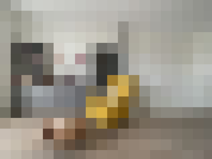 Image 17