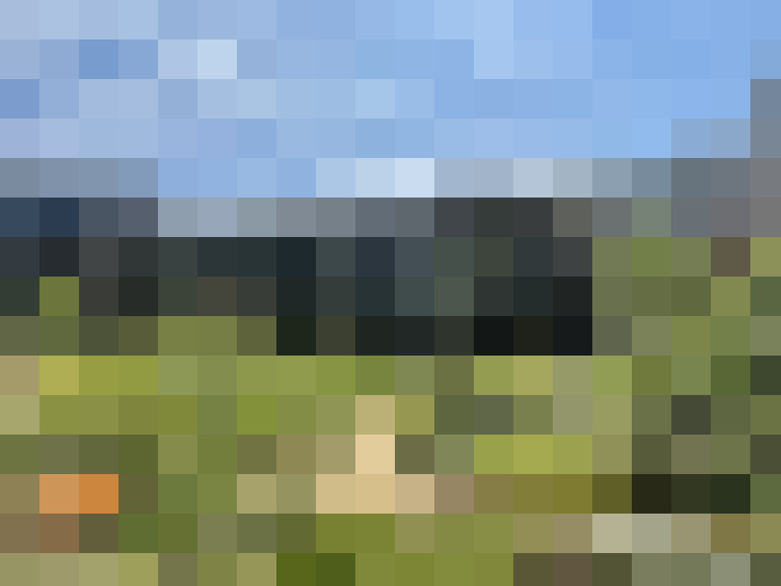 Image 13
