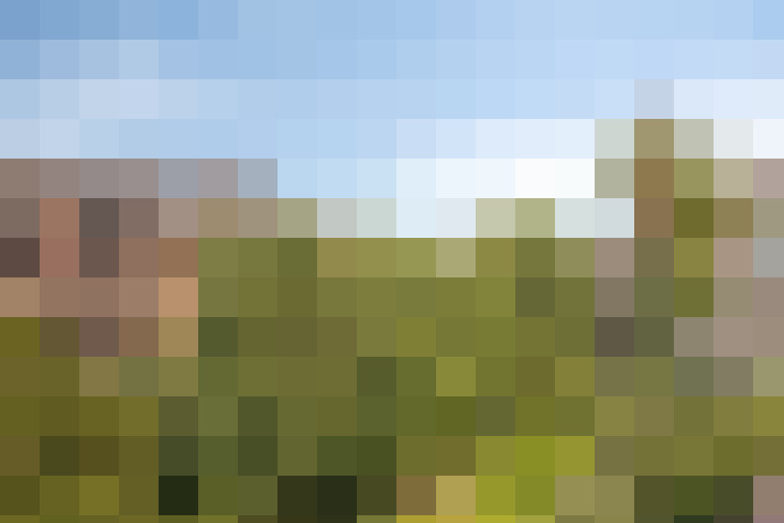 Image 40