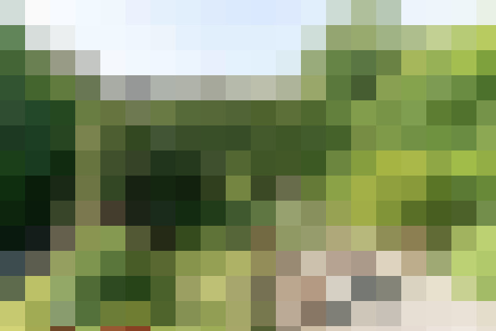 Image 34