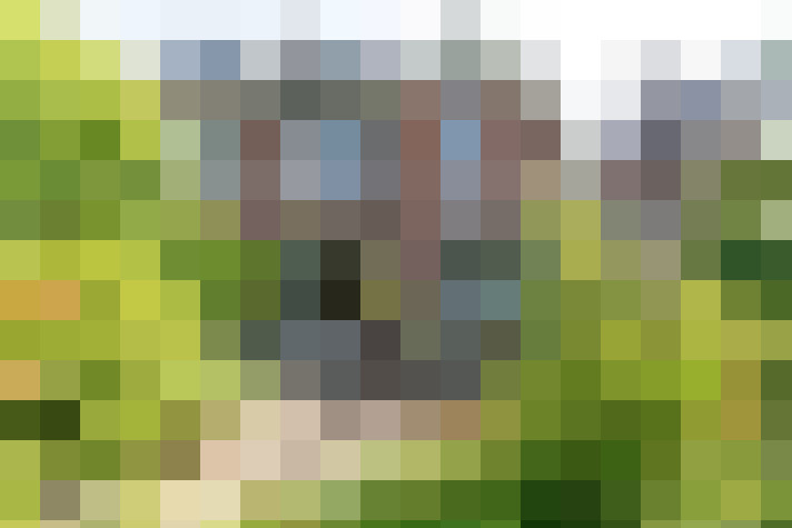 Image 31