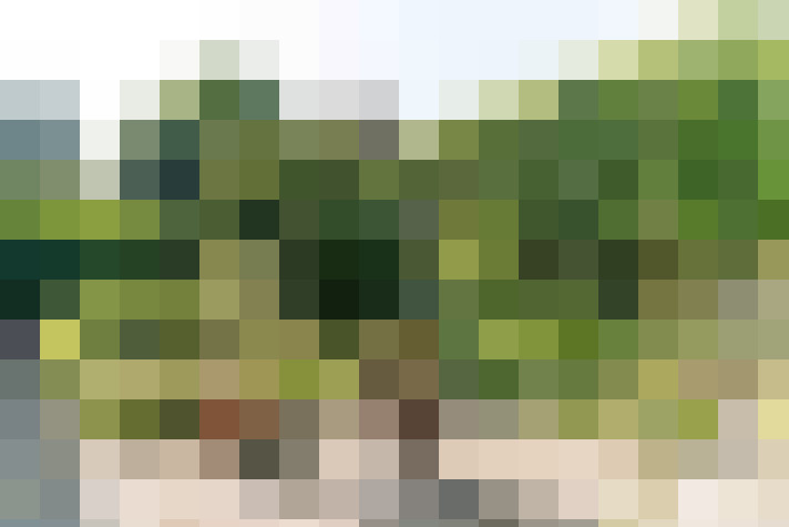 Image 29