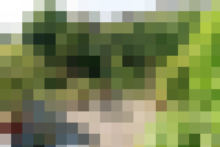 Image 35