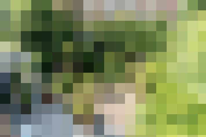 Image 46