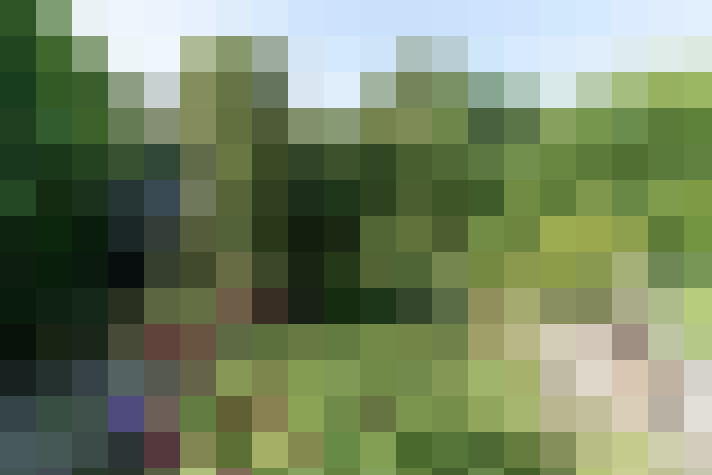 Image 32