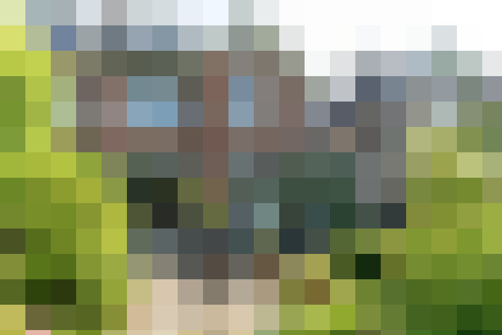 Image 30