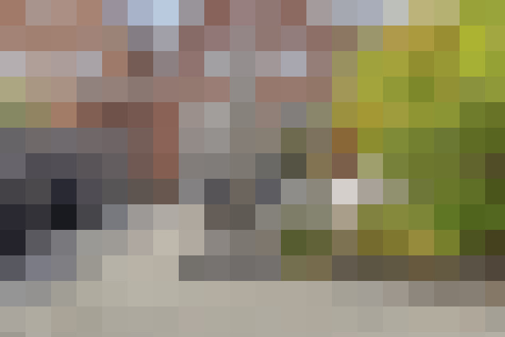 Image 25