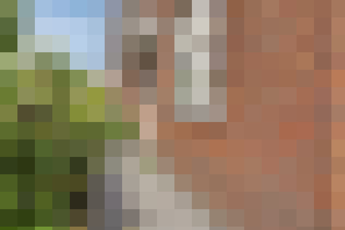 Image 31