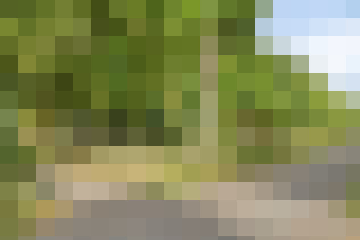 Image 36