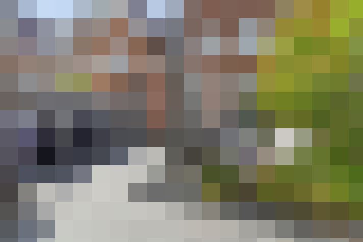 Image 23