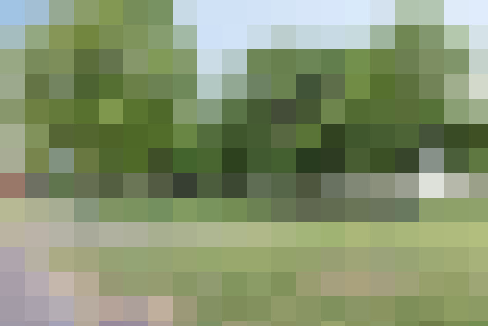 Image 23