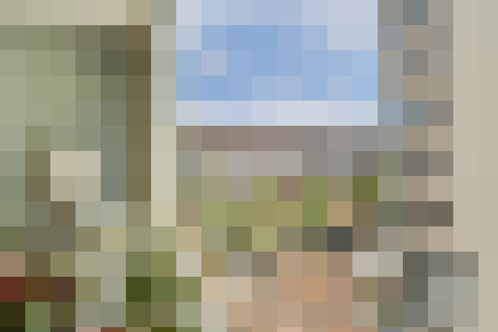 Image 15