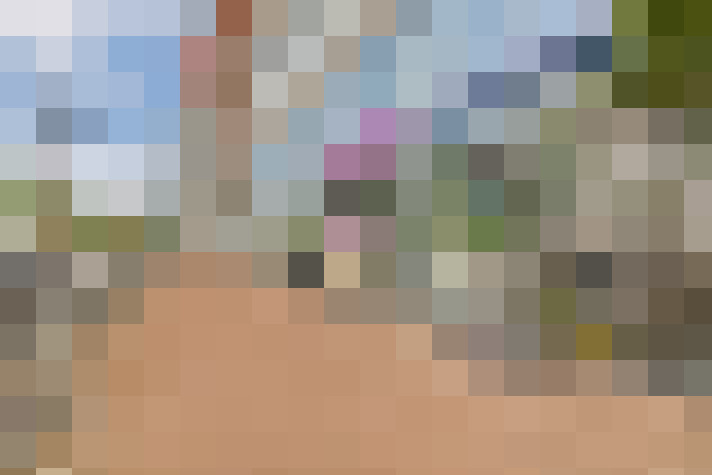 Image 23