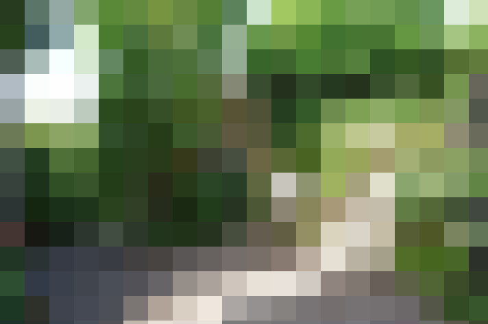 Image 31