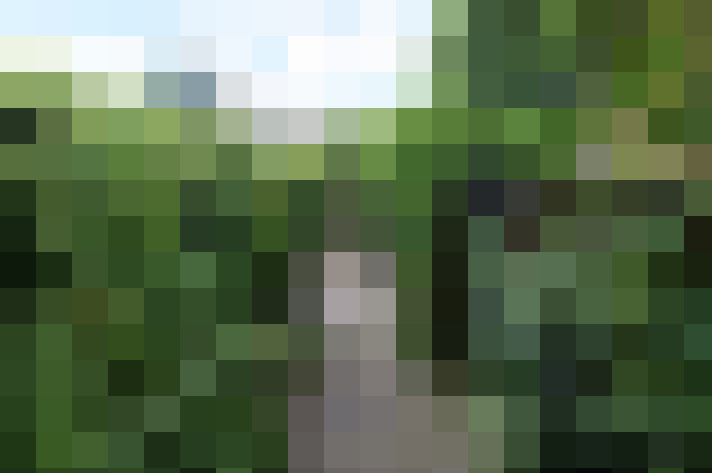 Image 17