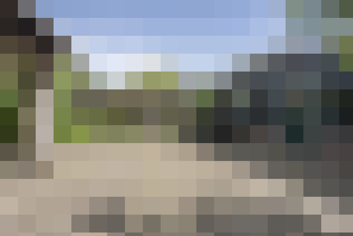 Image 20
